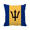 巴巴多斯国旗北美洲国家象征符号图案抱枕靠枕沙发靠垫含芯礼物