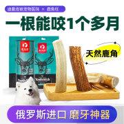 鹿角磨牙棒狗狗洁齿零食中小型犬，磨牙成幼犬泰迪柯基耐咬补钙骨头