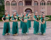 儿童六一花儿花儿演出服新疆印度肚皮舞，表演服茉莉，公主西域舞蹈服