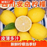 全网四川安岳柠檬当季新鲜水果，应季泡水奶，茶店专用一级果