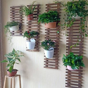 墙上挂式装饰壁挂花架子免打孔吊绿萝墙壁，花架客厅阳台植物悬挂架