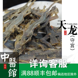 天龙中药饮片干货守宫中药材店铺大壁虎粉胶囊中药实体中医馆