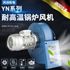 风派YN5-47小型锅炉风机耐高温220V离心风机380V采暖炉排尘抽风机