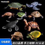 儿童玩具仿真海洋动物模型，两栖爬行乌龟模型，海龟陆龟巴西龟甲鱼