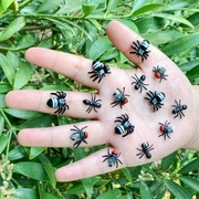 仿真迷你蜘蛛蚂蚁苍蝇昆虫模型幼儿园早教儿童玩具静态动物小摆件