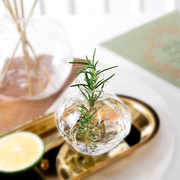 日式手作小石榴玻璃花瓶桌面绿萝水培插花迷你水养植物小清新花器