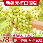 新疆无核白葡萄无籽水果新鲜当季整箱马奶提子青吐鲁番小葡萄青提