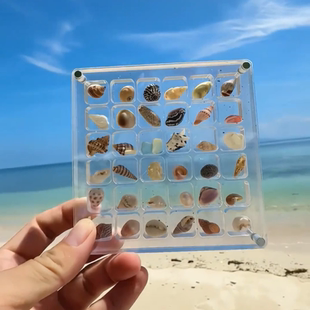 迷你贝壳收纳盒亚克力正方形，透明海边微石头标本，收藏磁力收纳相框
