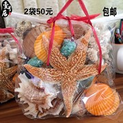 喜仕鸟天然大贝壳大海星，珊瑚石工艺品装饰品道具，鱼缸造景贝壳摆th