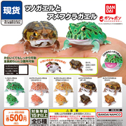 生物大图鉴角蛙小丑蛙扭蛋 万代正版 仿真蛙类可动模型 