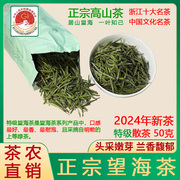 特级望海茶2024年明前新茶50克散装宁波宁海特产明州高山云雾绿茶