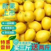 四川安岳黄柠檬(黄柠檬，)新鲜现摘现发一级大果水果多汁非无籽青