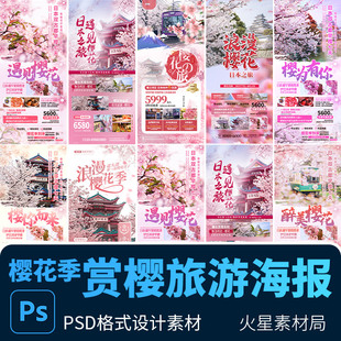 樱花季赏樱景点旅游旅行组团海报背景展架图 PSD设计素材模版