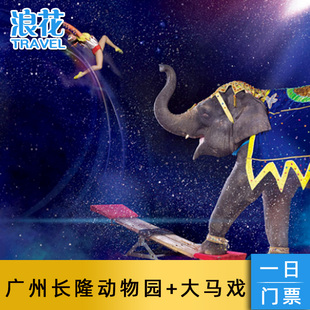 广州长隆国际大马戏大门票+长隆野生动物世界1日联票成人马戏套票
