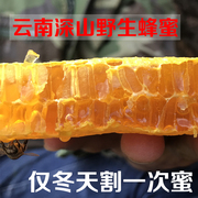 云南野生蜂蜜纯天然 冬蜜 百花蜜蜂蜜巢 深山老林野蜂蜜500g