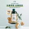 The body shop美体小铺生姜防脱洗发水400ml*2去屑控油旗