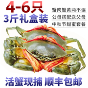 三门青蟹鲜活特大螃蟹肉，蟹红膏蟹3斤大青蟹，礼盒红鲟海鲜水产海蟹