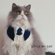 宠物猫狗西装领结婚写真，拍照绅士领带围兜口水，巾项圈香港momoji