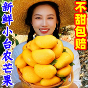 海南小台农芒果10斤新鲜水果当季时令热带水果，整箱红金玉青煌芒果