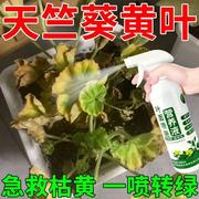 花草营养液通用天竺葵营养液防黄叶促开花治烂根延生根药水免稀释