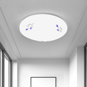 LED过道圆形吸顶灯卧室客厅走廊阳台厨房洗手间节能家用超亮灯具