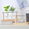 水培植物玻璃花瓶摆件客厅桌面，插花水养花卉绿植，容器水生盆栽器皿