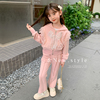 女童套装秋款儿童韩版洋气休闲蕾丝花边上衣运动长裤两件套