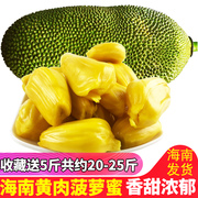 海南菠萝蜜新鲜热带水果黄肉木菠萝整个果共20-25斤左右