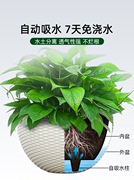 吊盆花盆悬挂式创意绿萝花盆垂吊兰盆懒人自吸水培加厚塑料吊篮盆