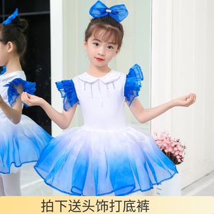 少儿童蓬蓬裙演出服蓝色幼儿园，可爱舞蹈女童蓬蓬合唱公主表演服装