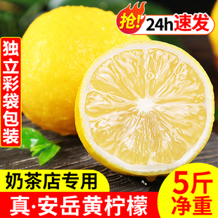 四川安岳黄柠檬(黄柠檬)新鲜水果，奶茶店专用现摘无籽薄皮一级香水甜柠檬青