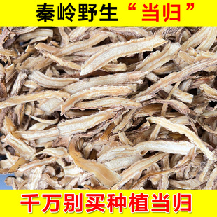 野生当归片中药材，特级全当归粉，500g黄芪党参组合装