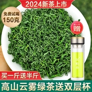 2024新茶早春云雾绿茶高山茶叶毛尖茶日照充足浓香型袋散装共750g