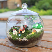 创意带盖苔藓diy生态瓶多肉，植物花瓶微景观玻璃工艺办公桌饰品
