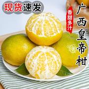 正宗广西皇帝柑新鲜橘子当季新鲜水果整箱纯甜黄帝柑贡柑沃5柑