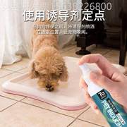 -狗狗厕所诱导剂大小便定位定点排便训厕液宠物尿尿拉屎便便导尿