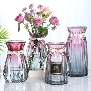 北欧创意透明玻璃花瓶水培，绿萝植物干花，鲜花插花瓶客厅装饰摆件