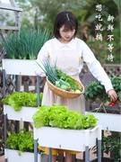 阳台种菜神器家庭立体种菜盆，多层懒人花盆专用架子天台露台种植箱