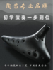 台湾tng陶笛12孔ac中音，熏烧十二孔洋陶埙瓷笛初学专业演奏乐器