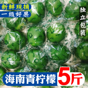 海南青柠檬新鲜现摘绿皮薄多汁非无籽饮品5斤整箱当季现摘发