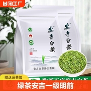 绿茶茶叶 安吉白茶 一级明前2023珍稀白茶春茶黄金芽125g