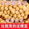 新豆东北黑龙江黄豆，农家自产五谷杂粮豆浆豆芽非转基因，黄豆新货