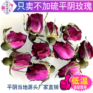 平阴玫瑰花茶100g药食干花蕾重瓣玫瑰无硫玫瑰花干花泡茶两用