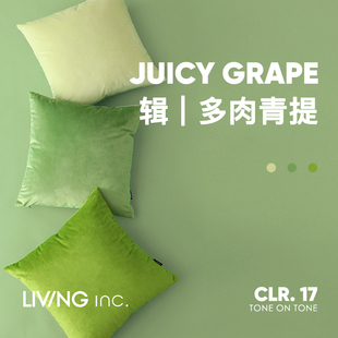 LIVING inc.天鹅绒多肉青提 清新绿色抱枕沙发客厅靠垫床头靠枕套