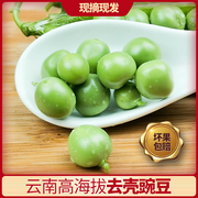 云南新鲜豌豆农家青豆荚当季嫩蔬菜青豌豆，去壳现摘现青豆4斤