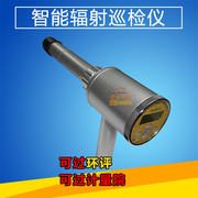 环境级xγ辐射检测仪空气，吸收剂量率仪fd-3013h上海申核式