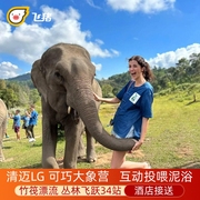 泰国清迈LG美旺可巧大象营丛林飞跃竹筏漂流大象互动投喂酒店接送