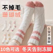 珊瑚绒袜子女纯棉防脚气，防臭秋冬季中长筒，加厚地板袜月子睡眠袜