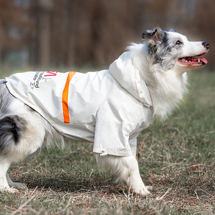 边牧春夏季衣服防风防雨NASA反光宇航服大型犬雨衣宠物冲锋衣户外