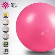 体操球瑜珈装备室内器材大球，助产顺产瑜伽球，按摩孕训练器瑜珈球加